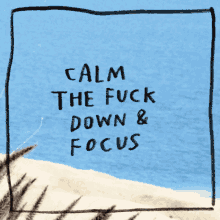 Calm Down GIF - Calm Down Calm The Fuck Down And Focus GIFs