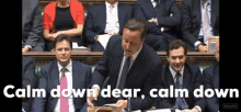 Calm Down David Cameron GIF