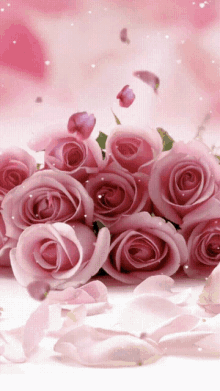 good evening love flower rose petals