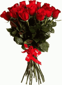 Roses Red GIF - Roses Red Flowers GIFs