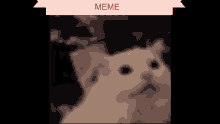 Meme Do Gato Meme Cat GIF - Meme Do Gato Meme Cat Red Eyes GIFs