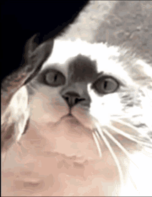 Disappointed Stare GIF - Disappointed Stare Disgust GIFs