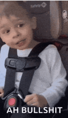 a child is wearing a seat belt and says ah bullshit on the bottom