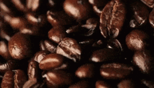 Aderfi Kahudi - La douce amertume de l'or noir Beans-coffee