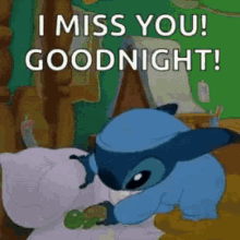 I Miss You Goodnight GIF