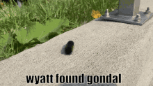 Wyatt Found GIF - Wyatt Found Gondal GIFs