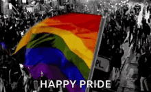 Gay Pride Lgbt GIF - Gay Pride Lgbt Flag GIFs