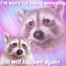 a picture of two raccoons with the caption i 'm sorry for being annoying