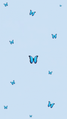Cute Butterfly GIF - Cute Butterfly - Discover & Share GIFs