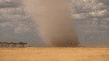 a group of camels walking through a desert with a cloudy sky