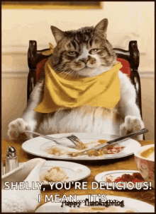 Thanksgiving Cat GIF - Thanksgiving Cat Thanksgivingdinner GIFs