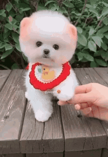 Cute Toy GIF - Cute Toy Dog GIFs