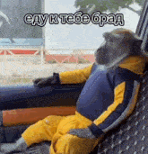 a monkey is sitting in the back seat of a car wearing a yellow and blue suit .