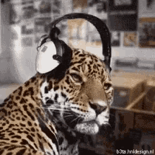 Kitty Listening To Twenty One Pilots Music GIF - Kitty Listening To Twenty One Pilots Music GIFs