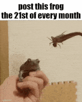 Essica Monthly GIF
