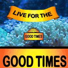 Live For The Good Times Look Forward GIF - Live For The Good Times Look Forward Live Life To The Best GIFs