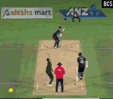 Cricket Tanvirk GIF - Cricket Tanvirk Catch Drop GIFs