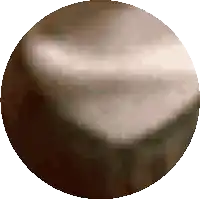 a pixelated image of a brown circle with a white border