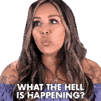 What The Hell Is Happening Snooki Sticker - What The Hell Is Happening Snooki Nicole Polizzi Stickers
