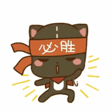 sure win karate cat black cat im ready