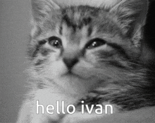 Hello Ivan Greetings Ivan GIF
