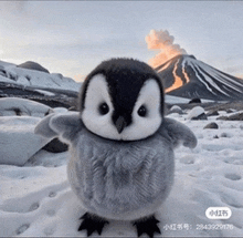a stuffed penguin is standing in the snow near a mountain