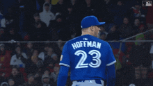 a baseball player wearing a blue jersey with the number 23 on the back