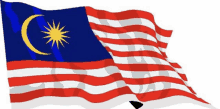 Malaysia GIF - Malaysia GIFs