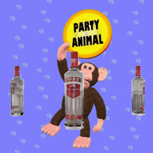 party animal party hard lets party dancing monkey vodka