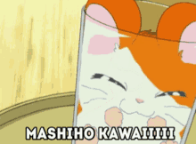 Mashiho Mashiho Meme GIF - Mashiho Mashiho Meme GIFs