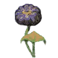 a pixel art drawing of a flower with a green stem