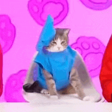 a cat wearing a blue cape is sitting on a table in front of a pink background .