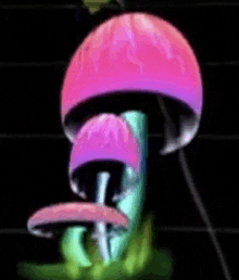 Mushroom Mushrooms GIF