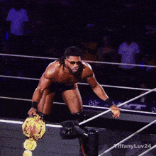 a man in a wrestling ring with tiffanyluv24 on the bottom right
