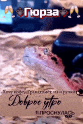 a snake is on a sign that says " доброе утро " in russian