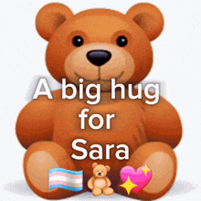 a teddy bear says " a big hug for sara "