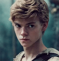 the maze runner thomas and newt