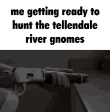 Tellendale River Gnomes GIF - Tellendale River Gnomes Gnomes GIFs