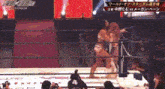 two women are wrestling in a ring with the word stardom on the bottom