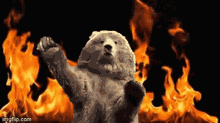 Bear Fire GIF - Bear Fire Lionfield GIFs