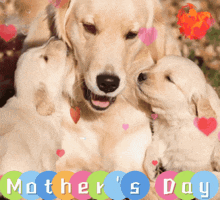 Mother'S Day Mom GIF - Mother'S Day Mom GIFs