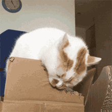 a white and orange cat is laying in a cardboard box with its eyes closed