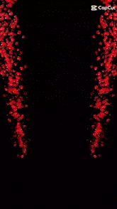 a kaleidoscope of red lights and hearts on a black background