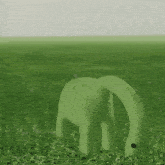 a green dinosaur is standing in the grass