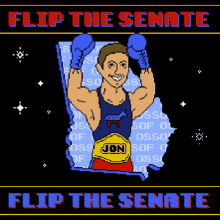 Flip The Senate Senate GIF - Flip The Senate Senate Boxing GIFs