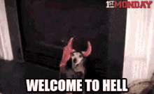 a dog wearing devil horns is standing in front of a television with the words welcome to hell below it