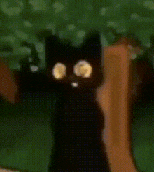 Cat Funny GIF - Cat Funny Animation GIFs