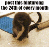 a picture of a kitten with the words post this binturong the 24th of every month