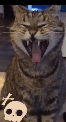 Angry Cat GIF - Angry Cat Fangs GIFs