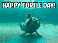Happy Turtle Day GIF - Dance Turtleday GIFs